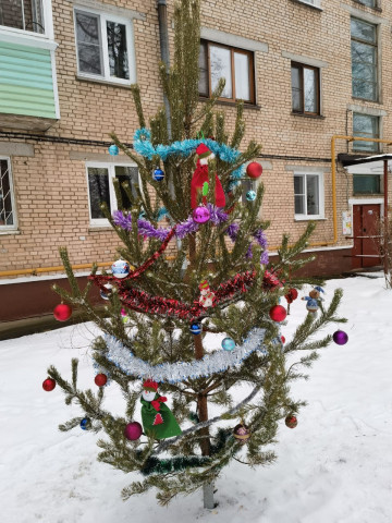 Отчет о проделанной работе за неделю (14.12 - 20.12)