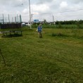 Отчет о проделанной работе за период (07.06-20.06)