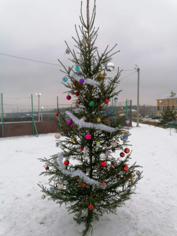 Отчет о проделанной работе за неделю (21.12.-27.12)